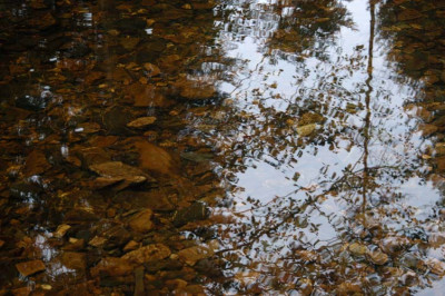bachundschatten_7927.jpg