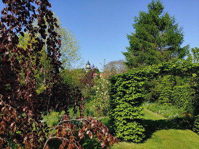 Wiesenburg20230514_101324.jpg