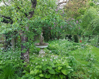 20230517_094618 Schattengarten.jpg
