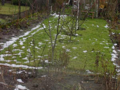 schneereste.jpg