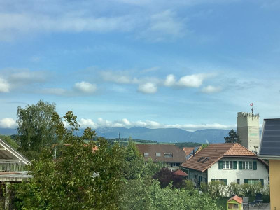 IMG_0086.jpeg