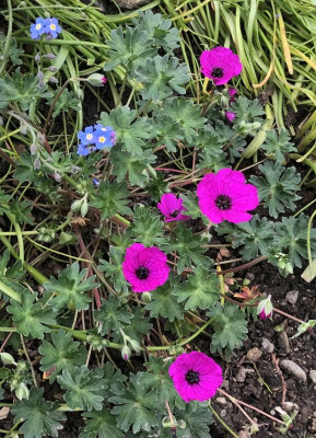 C646A93C-E707-457B-8A3E-CDDD576D1750.jpeg