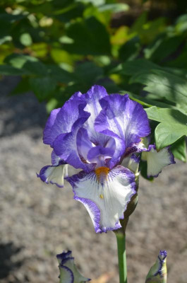 D8789.JPG