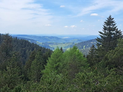 20230519_115445.jpg