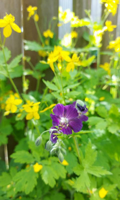 20230521_100358.jpg