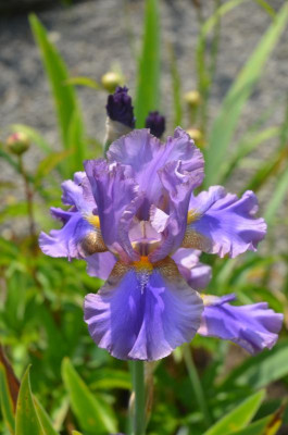 D8872.JPG