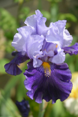 D8885.JPG