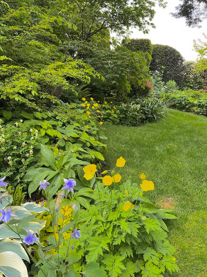 Garten-22-05-2023-small.jpg