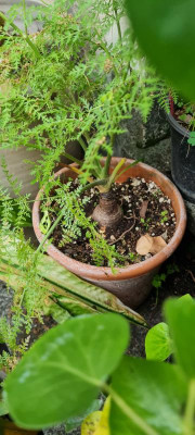 20230522_194145.jpg