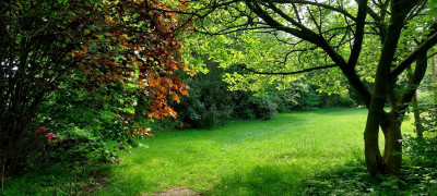 20230522_155053.jpg