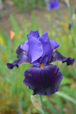 D8898.JPG
