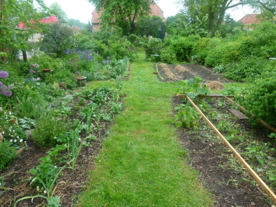 Gemüsegarten von Süden.JPG