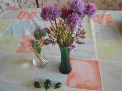DSCN5898.JPG