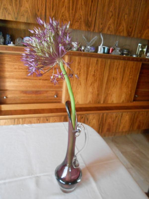 DSCN5902.JPG