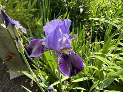 IMG_6214.jpeg