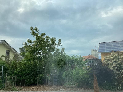 IMG_0092.jpeg
