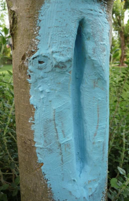 Apfelbaum-Rinde-kupfer.jpg