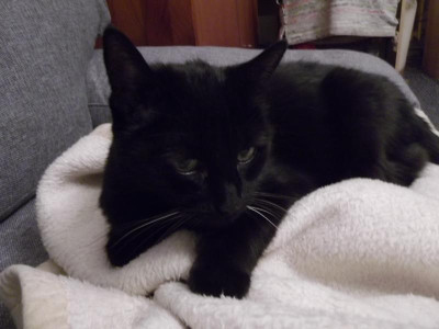 DSCF6659.JPG