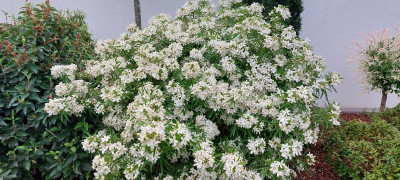 20230512_175246.jpg
