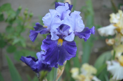 D9022.JPG
