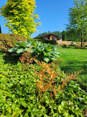 20230525_090447.jpg