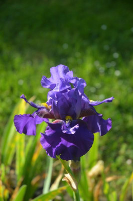 D9068.JPG