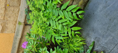 20230525_134105.jpg