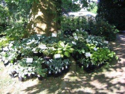 Ippenburg_08_067.jpg