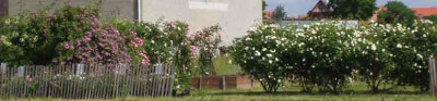 Stotzheim_06_08_013.jpg