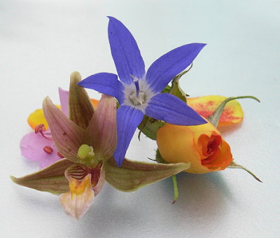 fur_die_Blumen....JPG