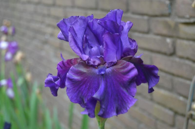 D9243.JPG