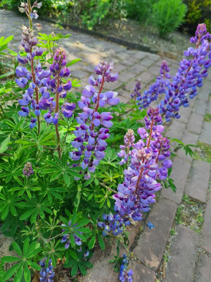 20230527_110321.jpg