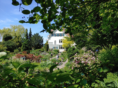Foerstergarten20230531_115756.jpg