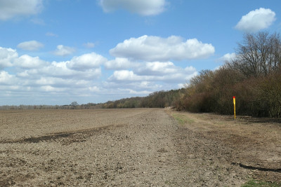Weg_April_2021.jpg