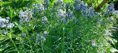 20230531_102706.jpg