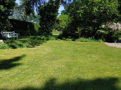 Foerstergarten20230601_150754.jpg