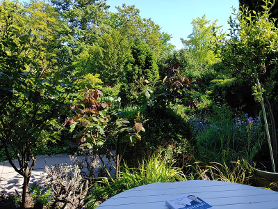 Foerstergarten20230601_160910.jpg