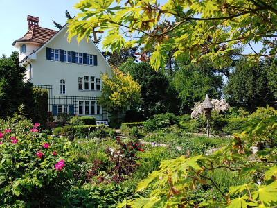 Foerstergarten20230601_150115.jpg