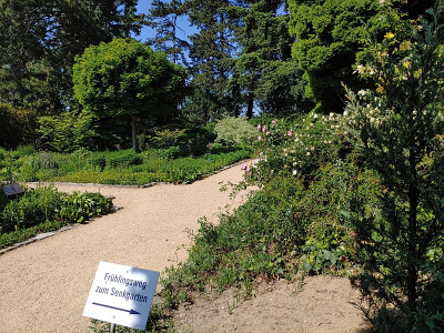 Foerstergarten20230601_152749.jpg