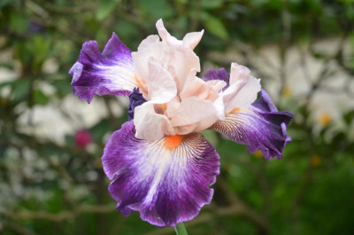 D9330.JPG