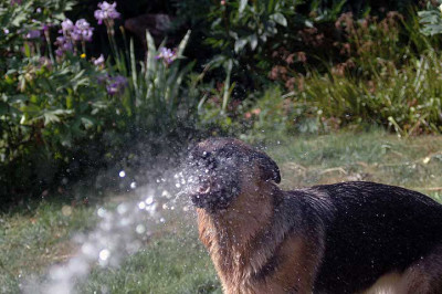 1dusche3044.jpg