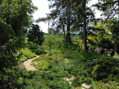 Foerstergarten20230602_135959.jpg