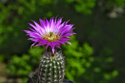 _DSC1408-01.jpeg