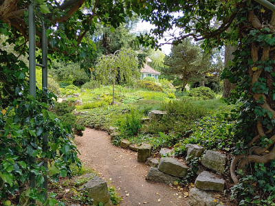 Foerstergarten20230602_135914_HDR.jpg