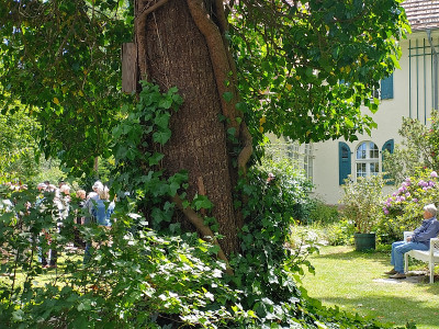 Foerstergarten20230602_144502_HDR.jpg