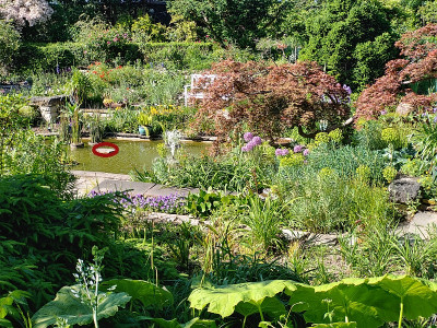 Foerstergarten20230602_164819-_HDR.jpg