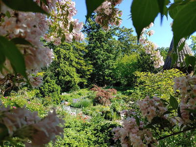 Foerstergarten20230602_163511.jpg