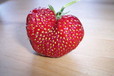 K640_100_5234.JPG