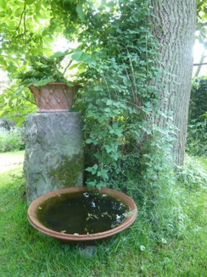 unterm_Nussbaum_2_fars_2008.jpg