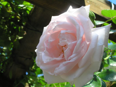 newdawn0608.jpg